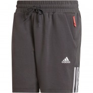 Preisvergleich für Hosen: adidas Funktionsshorts Motion DESIGNED2MOVE Aeroready Taschen AERO.RDY Herren, grey six, XL