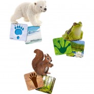 Preisvergleich für Sammel & Spielfiguren: Schleich Lernkarten Wild Life 42474