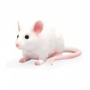 Preisvergleich für Bauernhof & Tiere: Legler 387235 Maus weiss Spielfigur aus Kunststoff