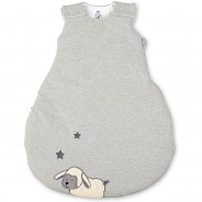 Preisvergleich für Schlafsäcke: Baby-Schlafsack Stanley, 62/68 hellgrau