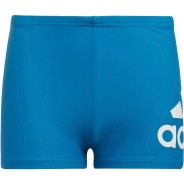 Preisvergleich für Bademode: Badehose YB BOS BRIEF  blau/weiß Gr. 164 Jungen Kinder