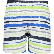 Preisvergleich für Bademode: Badeshorts  grau-kombi Gr. 152 Jungen Kinder