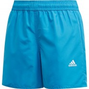 Preisvergleich für Bademode: Badeshorts YB BOS  (recycelt) hellblau Gr. 164 Jungen Kinder