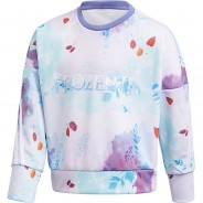Preisvergleich für Oberteile: Disney Die Eiskönigin Sweatshirt DY FRO  (recycelt) mehrfarbig Gr. 110 Mädchen Kinder