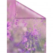 Preisvergleich für Heimtextilien: Fensterfolie selbstklebend, Sichtschutz, Blumenwiese - Violett Fensterdeko violett Gr. 100 x 130