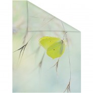 Preisvergleich für Heimtextilien: Fensterfolie selbstklebend, Sichtschutz, Schmetterling - Grün Fensterdeko grün Gr. 50 x 100