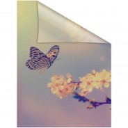 Preisvergleich für Heimtextilien: Fensterfolie selbstklebend, Sichtschutz, Schmetterling - Orange Fensterdeko orange Gr. 100 x 100