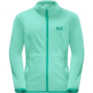 Preisvergleich für Oberteile: Fleecejacke HORIZON  hellgrün Gr. 164 Mädchen Kinder