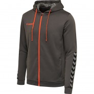 Preisvergleich für Oberteile: hmlAUTHENTIC KIDS POLY ZIP HOODIE Kapuzenpullover Kinder grau Gr. 164  Kinder