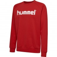 Preisvergleich für Oberteile: HMLGO KIDS COTTON LOGO SWEATSHIRT Sweatshirts Kinder rot Gr. 176  Kinder