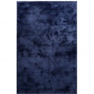 Preisvergleich für Heimtextilien: Hochflorteppich Pisa 25mm pflegeleicht blau Gr. 80 x 150