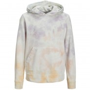 Preisvergleich für Oberteile: JUNIOR sweatshirt Sweatshirts  mehrfarbig Gr. 152 Jungen Kinder
