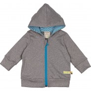 Preisvergleich für Oberteile: Kapuzenjacke Sweatjacken grau Gr. 62/68