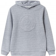 Preisvergleich für Oberteile: Kapuzenpullover  grau Gr. 146 Jungen Kinder