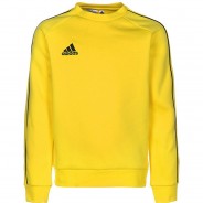Preisvergleich für Oberteile: Kinder Sweatshirt CORE18 SW TOP Y gelb Gr. 152