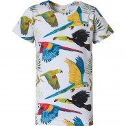Preisvergleich für Oberteile: Kinder T-Shirt, Organic Cotton bunt Gr. 110