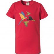 Preisvergleich für Oberteile: Kinder T-Shirt, Organic Cotton bunt Gr. 110