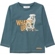 Preisvergleich für Oberteile: Langarmshirt  blau Gr. 104/110 Jungen Kleinkinder