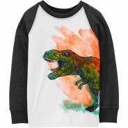 Preisvergleich für Oberteile: Langarmshirt , Dinosaurier weiß Gr. 92 Jungen Kleinkinder