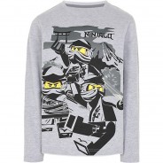 Preisvergleich für Oberteile: Langarmshirt  grau Gr. 110 Jungen Kleinkinder