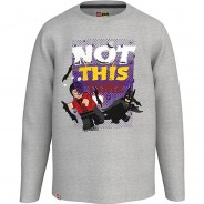 Preisvergleich für Oberteile: Langarmshirt  grau Gr. 140 Jungen Kinder