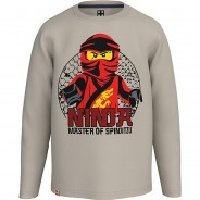 Preisvergleich für Oberteile: Langarmshirt  hellgrau Gr. 140 Jungen Kinder