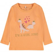 Preisvergleich für Oberteile: Langarmshirt NMFDIRGA , Organic Cotton orange Gr. 98 Mädchen Kleinkinder
