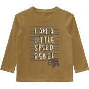 Preisvergleich für Oberteile: Langarmshirt NMMVUX , Organic Cotton beige Gr. 104 Jungen Kleinkinder