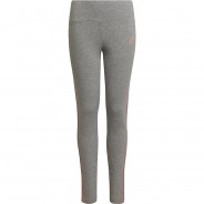 Preisvergleich für Hosen: Leggings G 3S TIGHT  rosa/grau Gr. 164 Mädchen Kinder