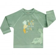 Preisvergleich für Oberteile: Longsleeve Langarmshirts  grün Gr. 80 Jungen Kleinkinder