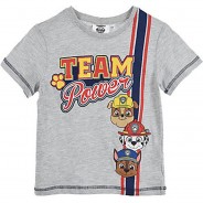 Preisvergleich für Oberteile: Paw Patrol Kinder Kurzarm T-Shirt grau Gr. 110 Jungen Kleinkinder