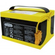 Preisvergleich für Kinderfahrzeuge: PEG PEREGO Ersatzbatterie IAKB0038 24V, 12Ah