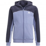 Preisvergleich für Oberteile: Performance Fleecejacke ESSENTIALS COLORBLOCK Fleecejacken lila Gr. 164