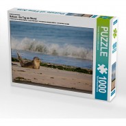 Preisvergleich für Puzzle: Puzzle CALVENDO Puzzle Baltrum - Ein Tag am Strand - 1000 Teile Foto-Puzzle glückliche Stunden  Kinder