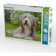 Preisvergleich für Puzzle: Puzzle CALVENDO Puzzle Bearded Collie Hündin - 1000 Teile Foto-Puzzle glückliche Stunden  Kinder