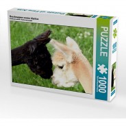 Preisvergleich für Puzzle: Puzzle CALVENDO Puzzle Beschnuppern zweier Alpakas - 1000 Teile Foto-Puzzle glückliche Stunden  Kinder