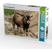 Preisvergleich für Puzzle: Puzzle CALVENDO Puzzle Braunes Zwergziegen Baby - 1000 Teile Foto-Puzzle glückliche Stunden  Kinder