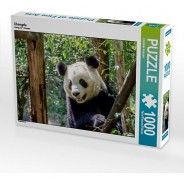 Preisvergleich für Puzzle: Puzzle CALVENDO Puzzle Chengdu - 1000 Teile Foto-Puzzle glückliche Stunden  Kinder
