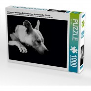 Preisvergleich für Puzzle: Puzzle CALVENDO Puzzle Cheyenne - American Stafford x Dogo Argentino-Mix, 2 Jahre - 1000 Teile Foto-Puzzle glückliche Stunden  Kinder