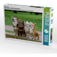 Preisvergleich für Puzzle: Puzzle CALVENDO Puzzle Chihuahuas - kleine Herzensbrecher - 1000 Teile Foto-Puzzle glückliche Stunden  Kinder