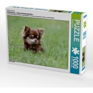 Preisvergleich für Puzzle: Puzzle CALVENDO Puzzle Chihuahuas - kleine Herzensbrecher - 1000 Teile Foto-Puzzle glückliche Stunden  Kinder