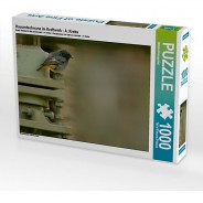 Preisvergleich für Puzzle: Puzzle CALVENDO Puzzle Hausrotschwanz im Kraftwerk - A. Krebs - 1000 Teile Foto-Puzzle glückliche Stunden  Kinder