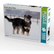 Preisvergleich für Puzzle: Puzzle CALVENDO Puzzle Hovawart - Spass im Schnee - 1000 Teile Foto-Puzzle glückliche Stunden  Kinder