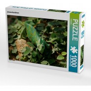 Preisvergleich für Puzzle: Puzzle CALVENDO Puzzle Jemenchamäleon - 1000 Teile Foto-Puzzle glückliche Stunden  Kinder