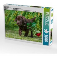 Preisvergleich für Puzzle: Puzzle CALVENDO Puzzle Labrador Retriever - ein Herz auf 4 Pfoten - 1000 Teile Foto-Puzzle glückliche Stunden  Kinder
