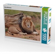 Preisvergleich für Puzzle: Puzzle CALVENDO Puzzle Löwen Männchen - 1000 Teile Foto-Puzzle glückliche Stunden  Kinder