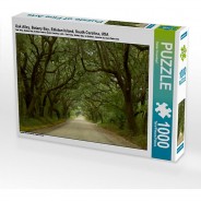 Preisvergleich für Puzzle: Puzzle CALVENDO Puzzle Oak Alley, Botany Bay, Ediston Island, South Carolina, USA - 1000 Teile Foto-Puzzle glückliche Stunden  Kinder