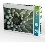 Preisvergleich für Puzzle: Puzzle CALVENDO Puzzle Orostachys - 1000 Teile Foto-Puzzle glückliche Stunden  Kinder