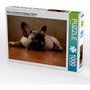Preisvergleich für Puzzle: Puzzle CALVENDO Puzzle Rocky - Französische Bulldogge,16 Wochen - 1000 Teile Foto-Puzzle glückliche Stunden  Kinder