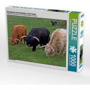 Preisvergleich für Puzzle: Puzzle CALVENDO Puzzle Schottische Hochlandrinder in drei Farben - 1000 Teile Foto-Puzzle glückliche Stunden  Kinder